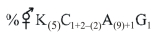 Option C