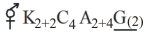 Option D