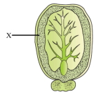 Question diagram