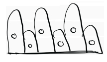 Question diagram