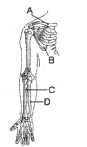 Question diagram