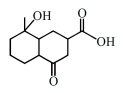 Option B