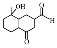 Option C