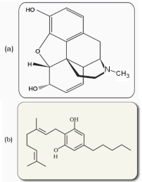 Question diagram