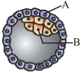 Question diagram