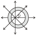 Option D