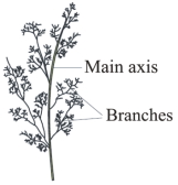 Question diagram