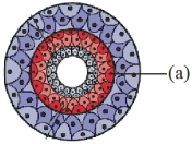 Question diagram