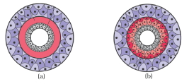 Question diagram