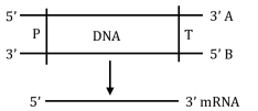 Question diagram