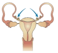 Question diagram