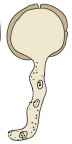 Question diagram