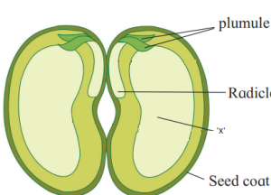 Question diagram