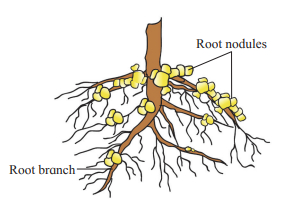 Question diagram