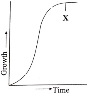 Question diagram