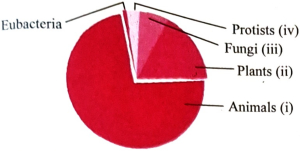 Question diagram