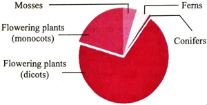 Question diagram