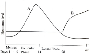 Question diagram