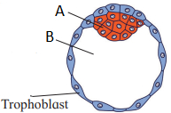 Question diagram