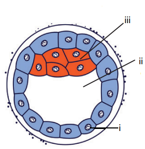Question diagram