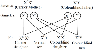 Solution diagram