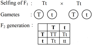 Solution diagram