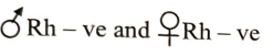 Option B