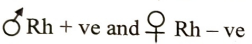 Option D