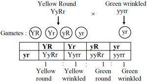 Solution diagram