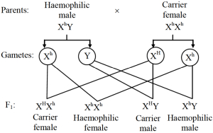Solution diagram