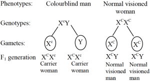 Solution diagram