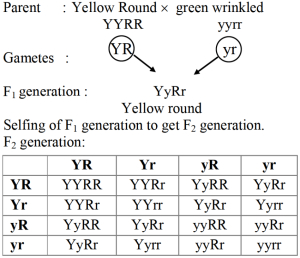 Solution diagram