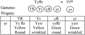 Solution diagram