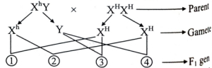 Question diagram