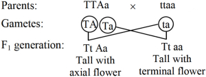 Solution diagram