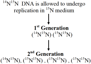 Solution diagram