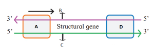 Question diagram
