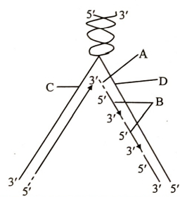 Question diagram