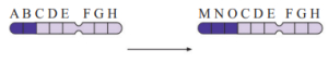 Question diagram