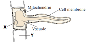 Question diagram
