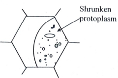 Question diagram