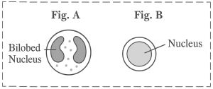 Question diagram