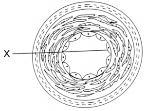 Question diagram