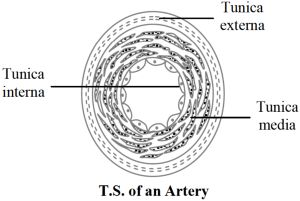 Solution diagram