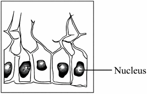 Question diagram