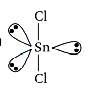 Option C