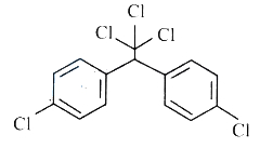 Option C