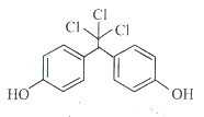 Option B