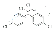 Option C