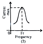 Option B